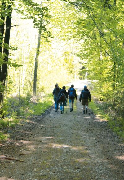 Mutschach, Foto: Touristik Service Dinkelsbühl