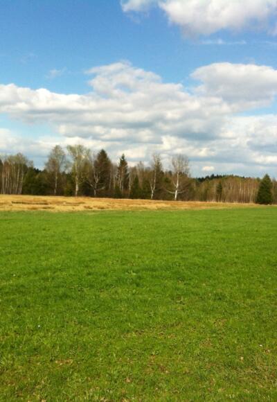 Blick auf das Höllfilz vor einem grandiosem Alpenpanorama