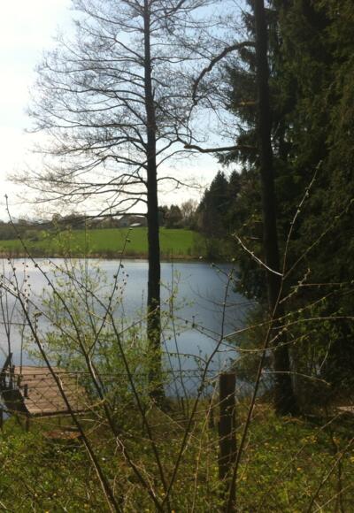 Im Wald versteckt liegt der Neuer Weiher