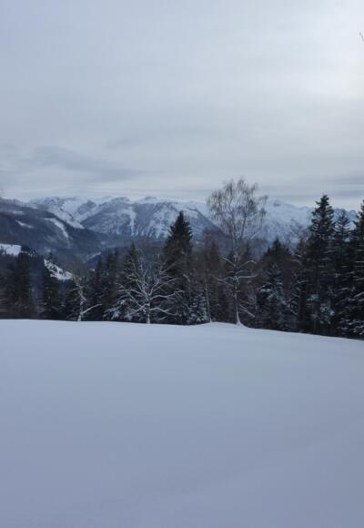 Oberhalb vom Wurzerbauer