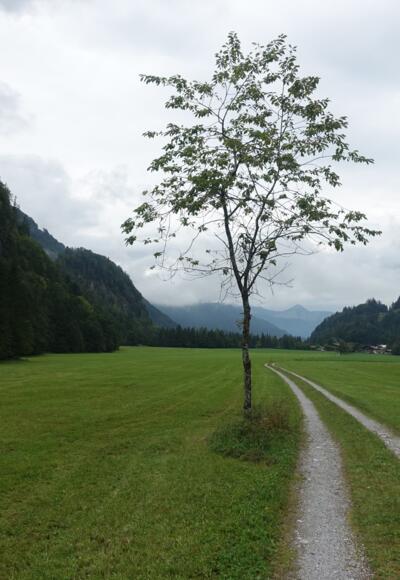 Kaiserbachtal
