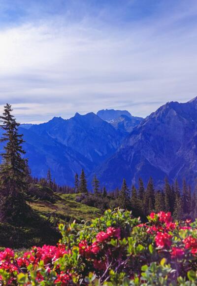 Ausblick am Sonnenkopf Richtung Rote Wand