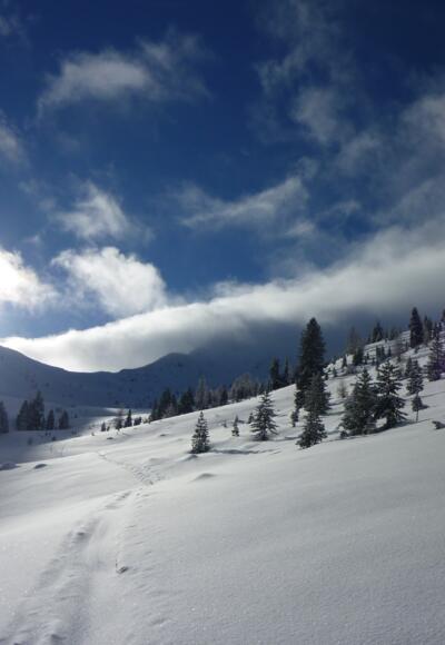 Aufstieg im Rosanintal