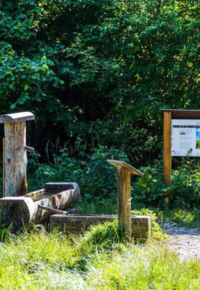 Wasserstation im Rothschwaiger Forst