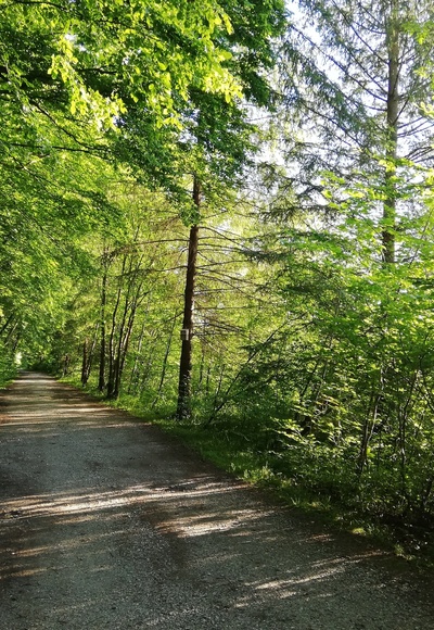 Idyllischer Weg am Inn