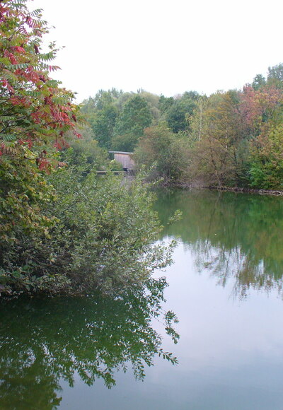 Weiher im Moos