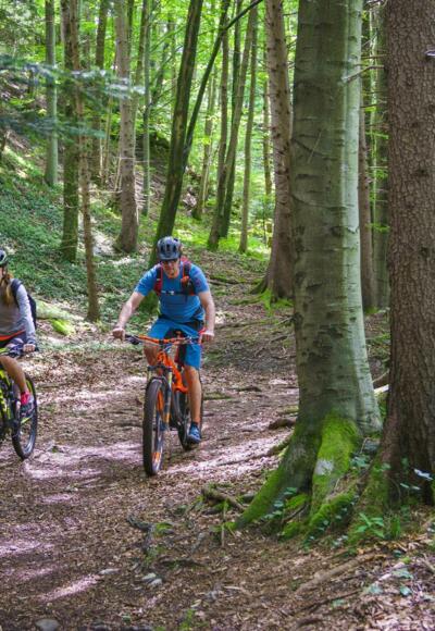 Radltour von Baum zu Baum