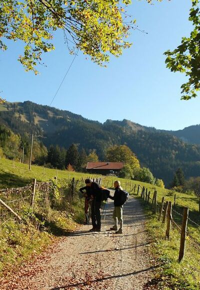 Agergschwenalm im Frühling