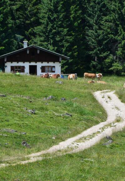 Der Egglerkaser auf der Anthaupten-Alm