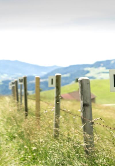 Der StandWortWeg in Doren