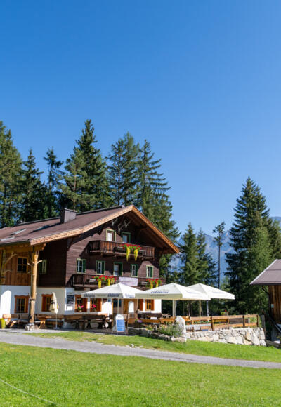 Wurzbergalm