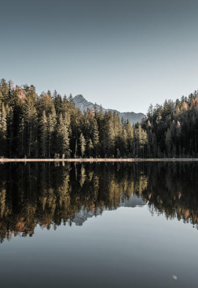 Amberger See