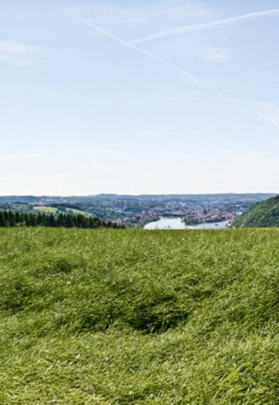 Freinberg
