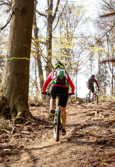 Mountainbiken im Mühlviertler Granitland