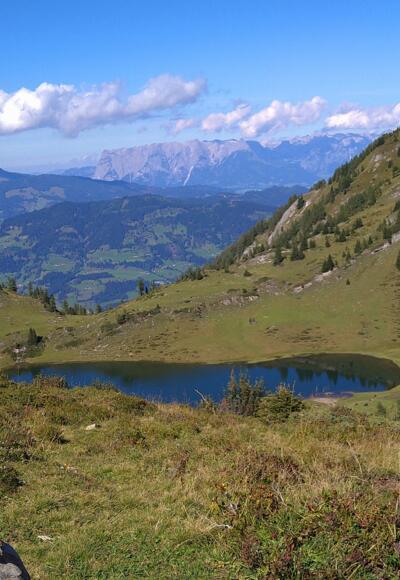 Paarseen