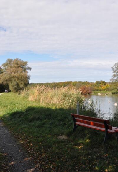 Wanderweg entlang der Amper in Schöngeising