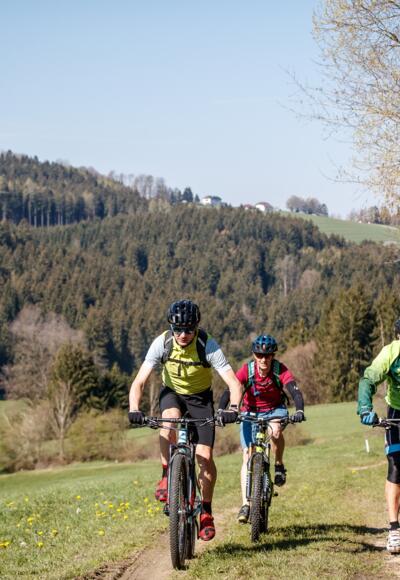 Mountainbiken im Mühlviertler Granitland