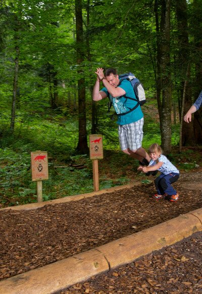 Bergwald-Erlebnispfad: mit den Waldbewohner um die Wette springen