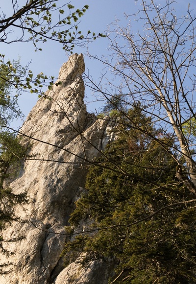 der Große Turm ist durch die Bäume zu erkennen