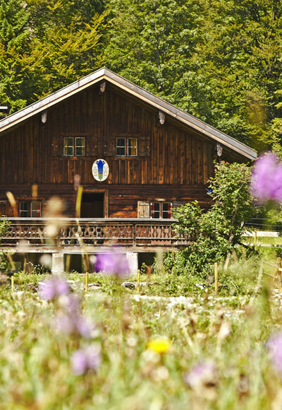 Kloaschaualm I