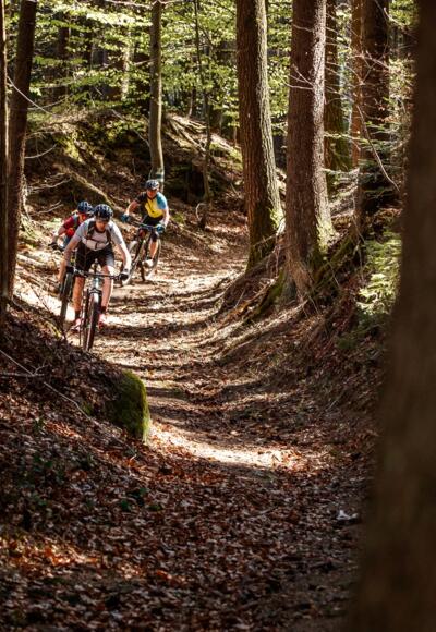 Mountainbiken im Mühlviertler Granitland