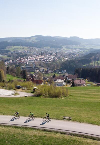 Mountainbiken in Haslach an der Mühl