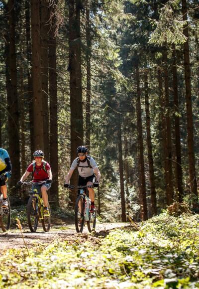 Mountainbiken in Haslach an der Mühl