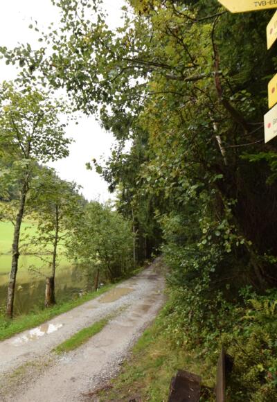 Österreichberg-Rundweg ab Halmgut