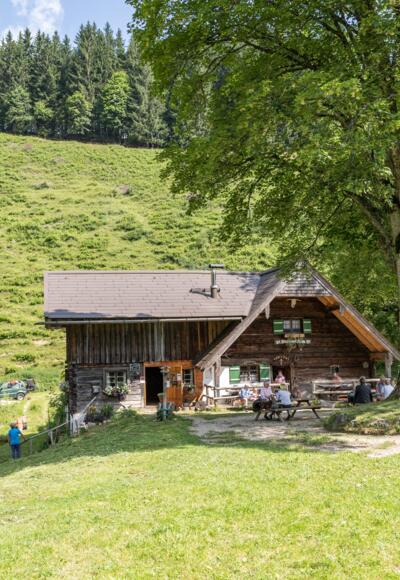 Die Steiner Alm