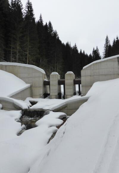 Geschiebesperre am Beginn des Plareitbachgrabens