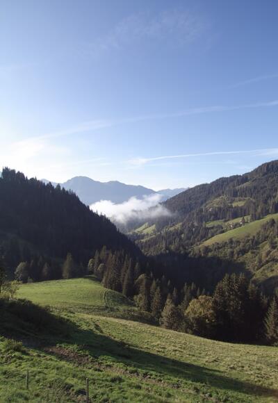 Ausblick Althausalm