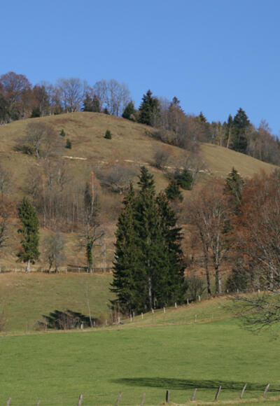 Der gesamte Anstieg vom Start aus gesehen.