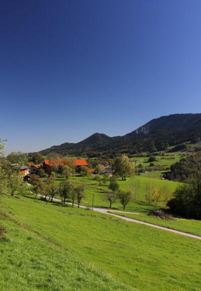 Der wieder breite Rückweg (hinten die Hochries)