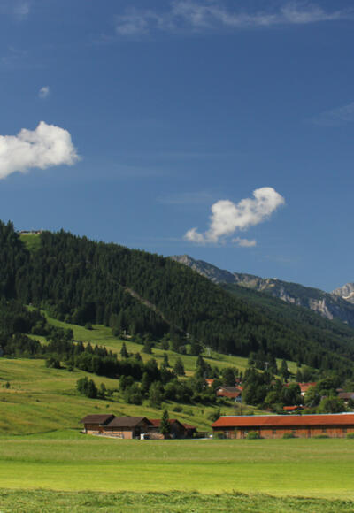 Der Buchenberg vom Tal aus