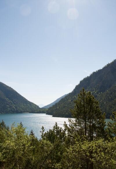 Plansee