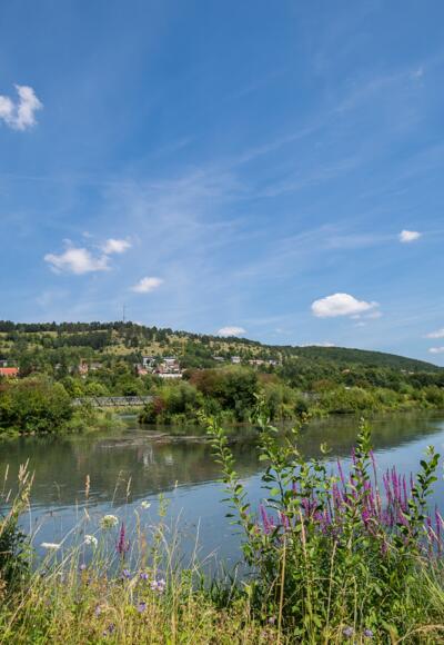 Stadtweiher Riedenburg