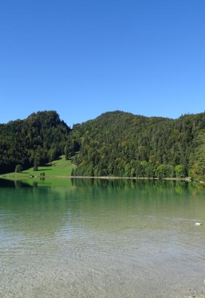 Alatsee