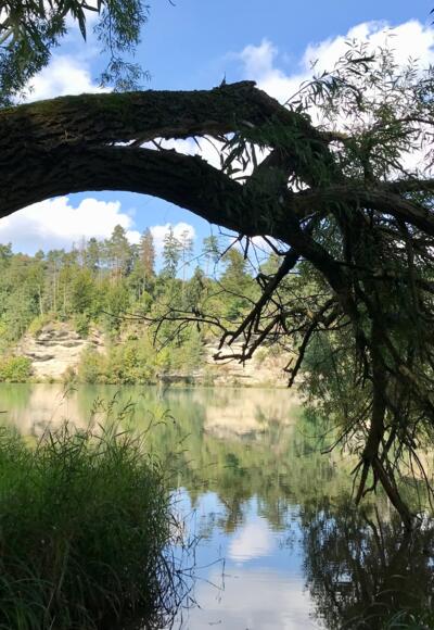 Trailrunning am Enns-Aktiv-Weg