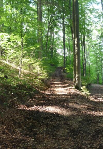 Wanderung im Lautertal