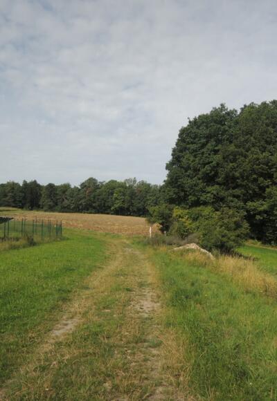 Wanderung im Lautertal