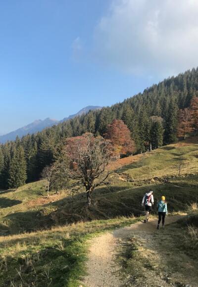 Wanderweg Hochgrat
