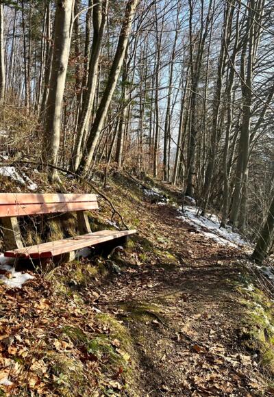 Steinköpfl-Trail - Molln