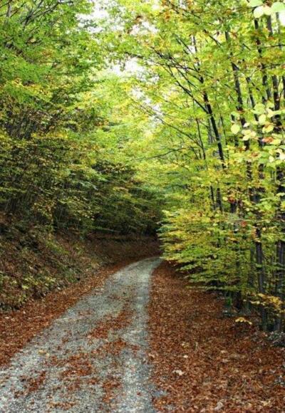 Freizeitwanderwege Weißbach