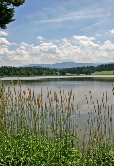 Deutensee Detail