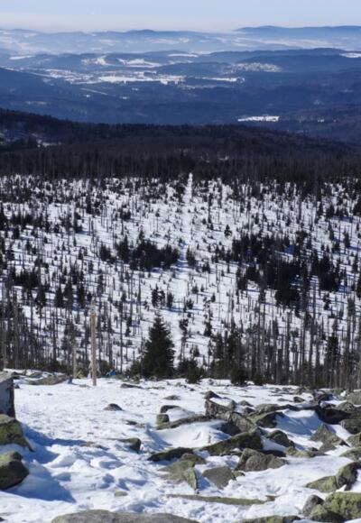 Himmelsleiter am Lusen