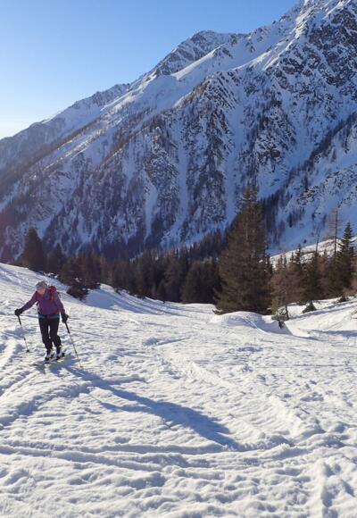 Nach dem kurzen Waldstück