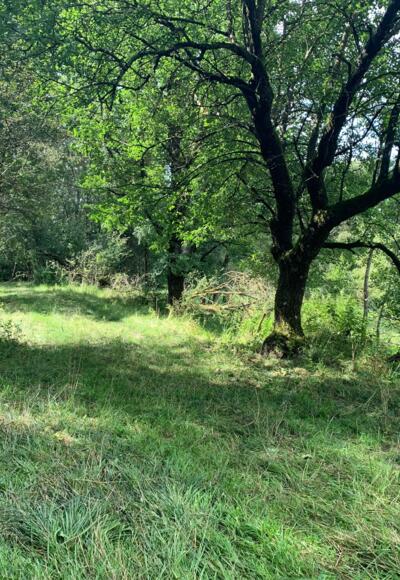 Wanderung im Lautertal