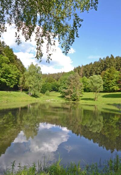 Waldsee