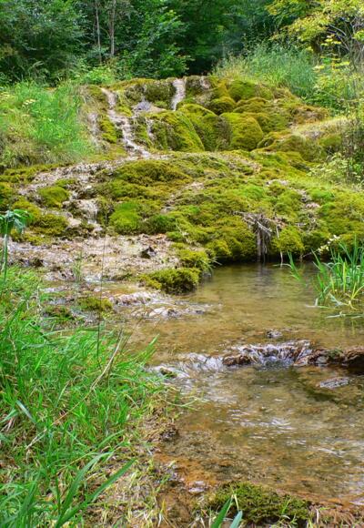 Sinterterassen Weißenbrunn vorm Wald