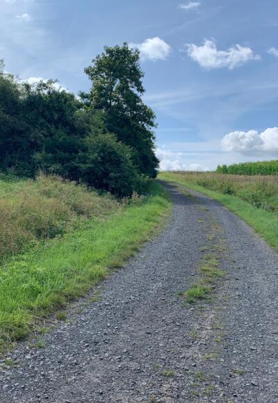 Wanderung bei Rödental